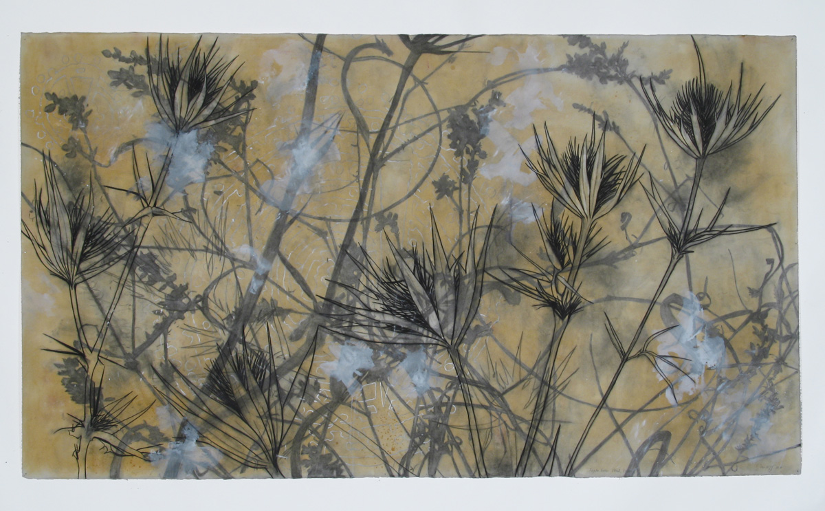 charcoal, earth, cochineal, watercolor, graphite, wax, mica, gesso, 52.5" x 91", 2007