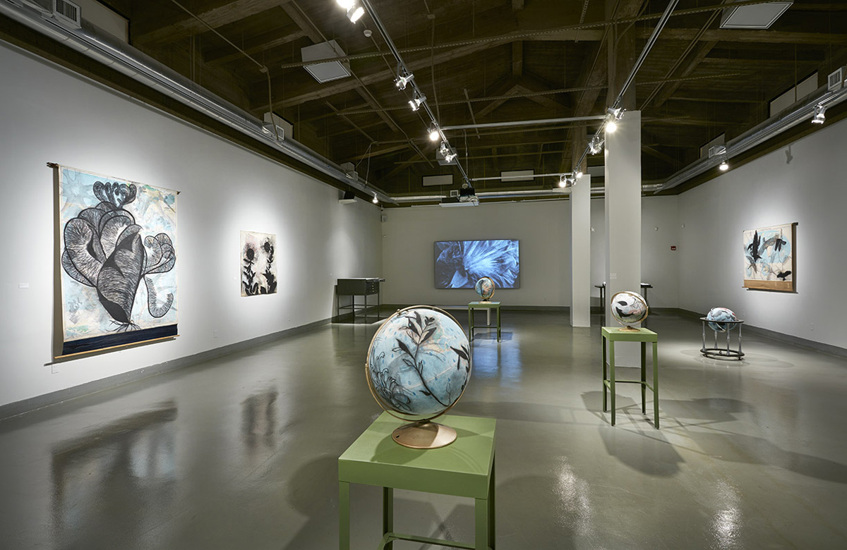 Installation View, Rubin Center for the Visual Arts, UTEP, El Paso, TX, 2017