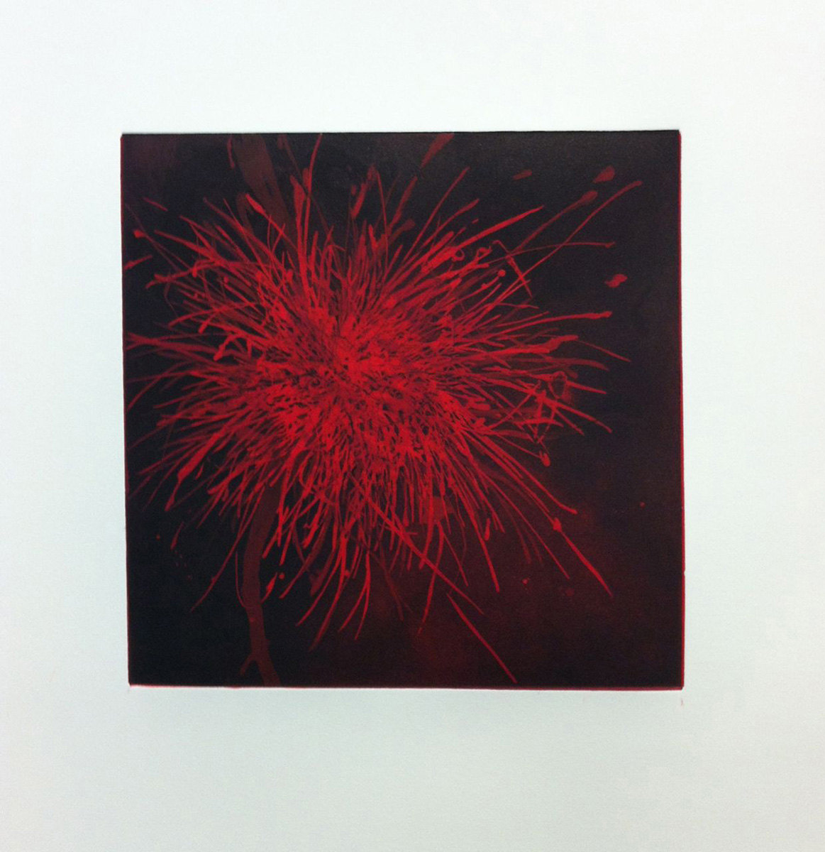 color etching, edition of 24, 22” x 22”, 2012